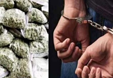 तळेगाव एमआयडीसी पोलिसांची कारवाई – 28,784 रुपये किंमतीचा गांजा जप्त