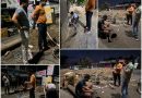 पहाटे ३ वाजता नगरसेवक सागर बोडके मैदानात; रखडलेले पाइपलाइन काम अखेर पूर्ण..!