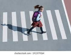 स्पीड ब्रेकर गेले: आता सुरक्षा रेषां ची हाक,तळेगावातील जिजामाता चौक ते स्टेशन चौक मार्गावर सफेद सुरक्षा रेषाची मागणी