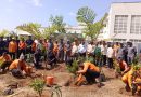 जागतिक पर्यावरण दिनानिमित्त फळझाडांचे वृक्षारोपण