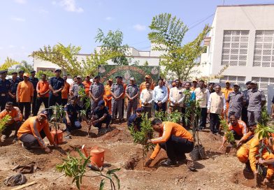 जागतिक पर्यावरण दिनानिमित्त फळझाडांचे वृक्षारोपण