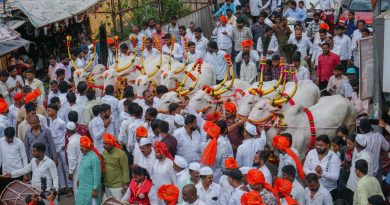 संत ज्ञानेश्वर महाराज पालखी सोहळ्यास बैलजोड निवड समिती बैलजोड सेवा देणार समिती अध्यक्ष बबनराव कुऱ्हाडे पाटील, नंदकुमार कुऱ्हाडे पाटील यांची घोषणा संत ज्ञानेश्वर महाराज पालखी सोहळ्यास बैलजोड निवड समिती बैलजोड सेवा देणार समिती अध्यक्ष बबनराव कुऱ्हाडे पाटील, नंदकुमार कुऱ्हाडे पाटील यांची घोषणा