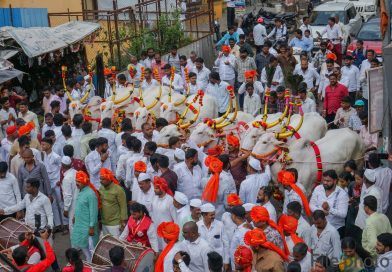 संत ज्ञानेश्वर महाराज पालखी सोहळ्यास बैलजोड निवड समिती बैलजोड सेवा देणार समिती अध्यक्ष बबनराव कुऱ्हाडे पाटील, नंदकुमार कुऱ्हाडे पाटील यांची घोषणा संत ज्ञानेश्वर महाराज पालखी सोहळ्यास बैलजोड निवड समिती बैलजोड सेवा देणार समिती अध्यक्ष बबनराव कुऱ्हाडे पाटील, नंदकुमार कुऱ्हाडे पाटील यांची घोषणा