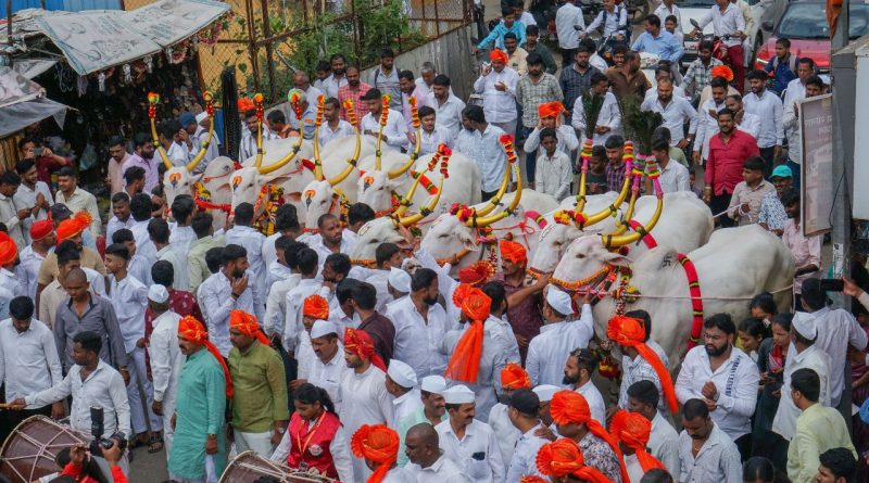 संत ज्ञानेश्वर महाराज पालखी सोहळ्यास बैलजोड निवड समिती बैलजोड सेवा देणार समिती अध्यक्ष बबनराव कुऱ्हाडे पाटील, नंदकुमार कुऱ्हाडे पाटील यांची घोषणा संत ज्ञानेश्वर महाराज पालखी सोहळ्यास बैलजोड निवड समिती बैलजोड सेवा देणार समिती अध्यक्ष बबनराव कुऱ्हाडे पाटील, नंदकुमार कुऱ्हाडे पाटील यांची घोषणा