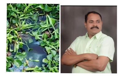 नदीत पडलेल्या महिलेचा धाडसी बचाव; माणिक जाधव यांचे सर्वत्र कौतुक..